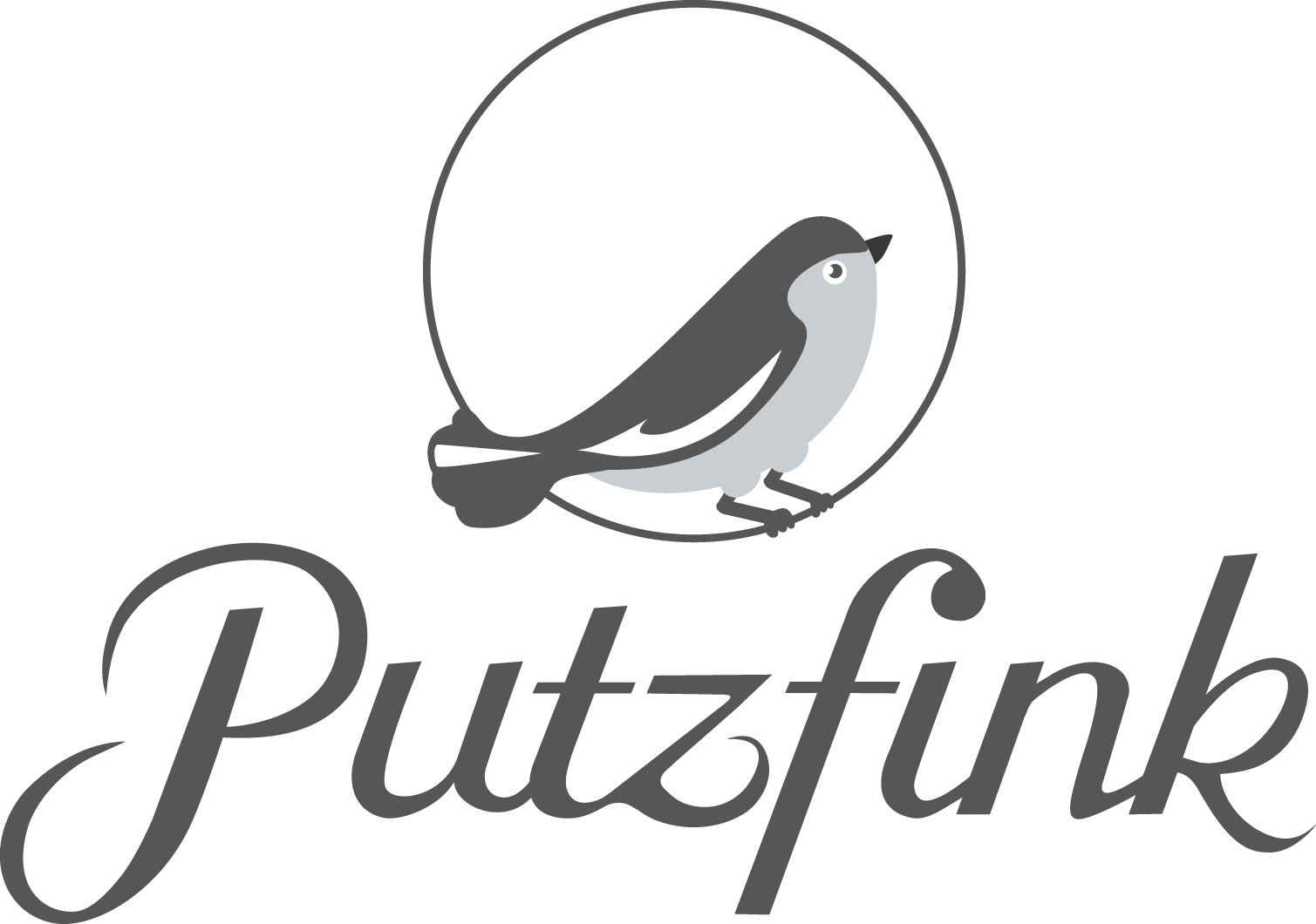 Putzfink / stericlean GmbH